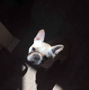 Meet your Posher, Kyle